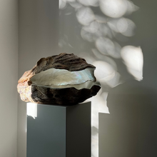 Afbeelding in Gallery-weergave laden, Mother of Pearl Keramische Oester | Steengoed
